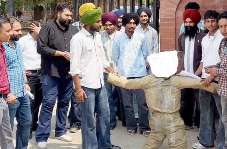 Punjabi University Contract Teachers Burn Effigy of Vice-Chancellor